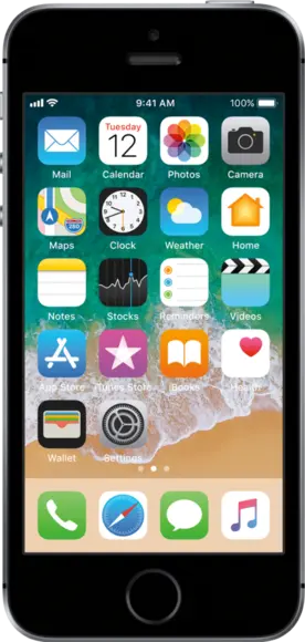 iPhone 5s