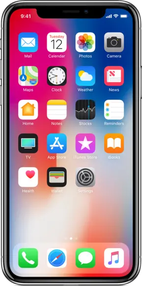 iPhone X